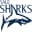 Sale Sharks